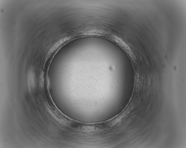 X0000085010298200703191122