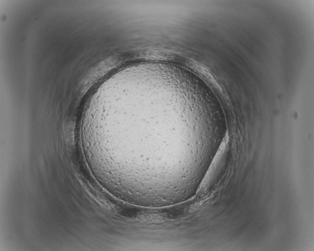 X0000085010299200703191122