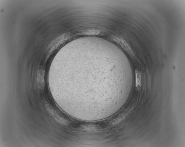 X0000085010300200703191122