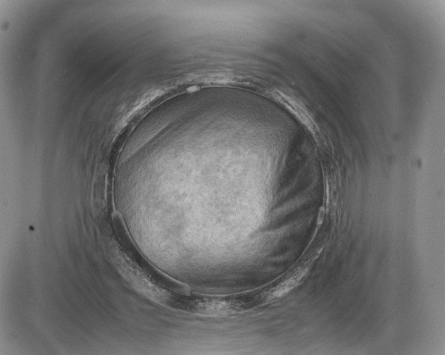 X0000085010301200703191122