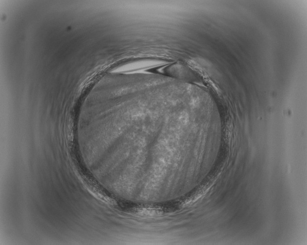 X0000085010303200703191122