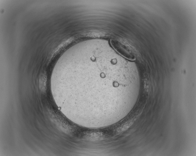 X0000085010304200703191122