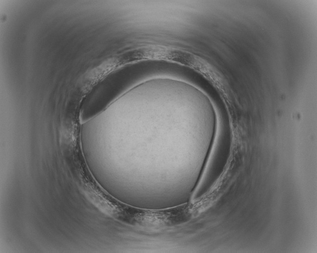 X0000085010305200703191122