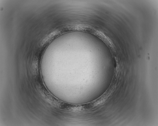 X0000085010306200703191122