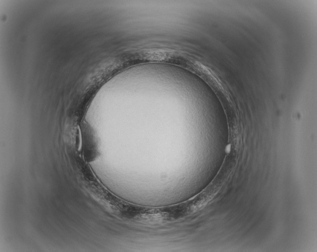 X0000085010307200703191122