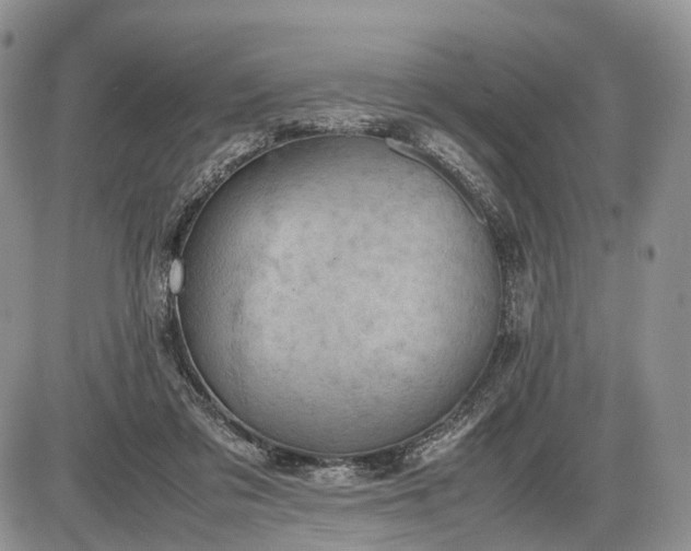 X0000085010309200703191122