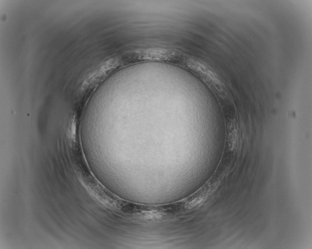 X0000085010310200703191122