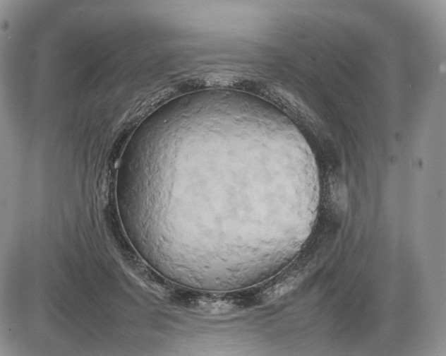 X0000085010311200703191122