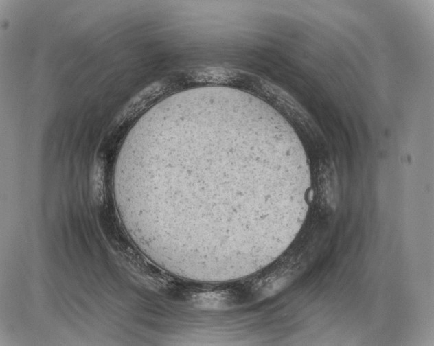 X0000085010312200703191122