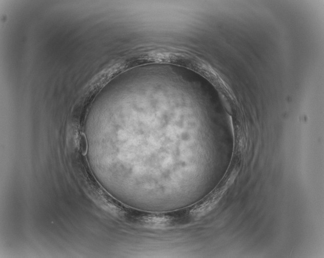 X0000085010313200703191122