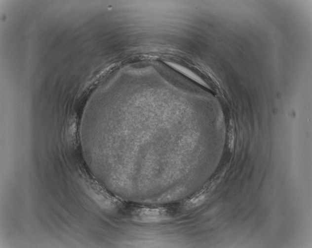 X0000085010314200703191122