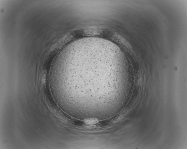 X0000085010315200703191122