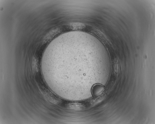 X0000085010316200703191122