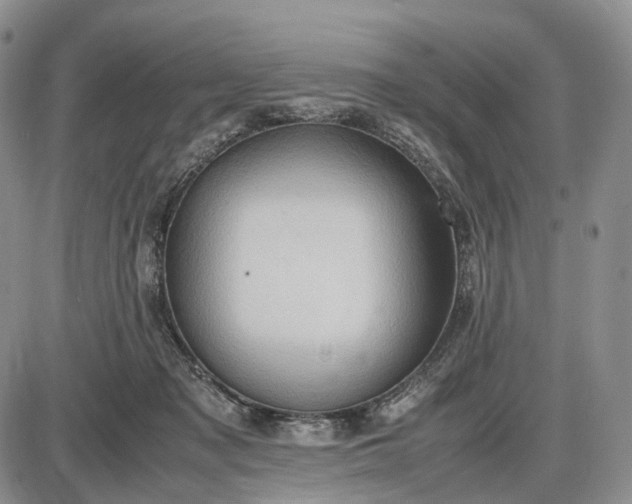 X0000085010317200703191122