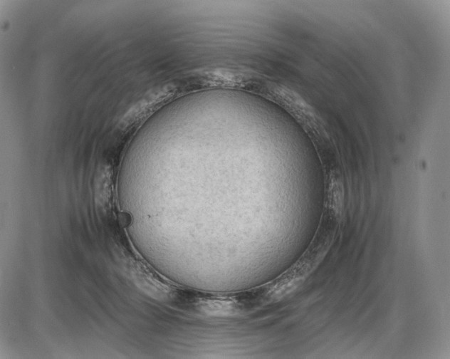 X0000085010318200703191122