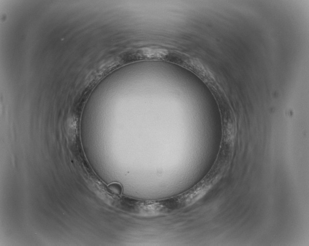 X0000085010321200703191122