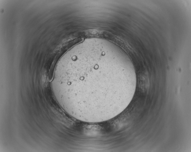 X0000085010324200703191122