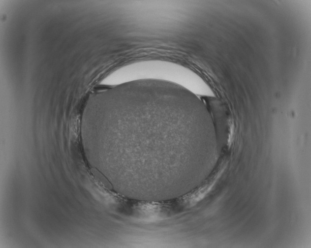 X0000085010325200703191122