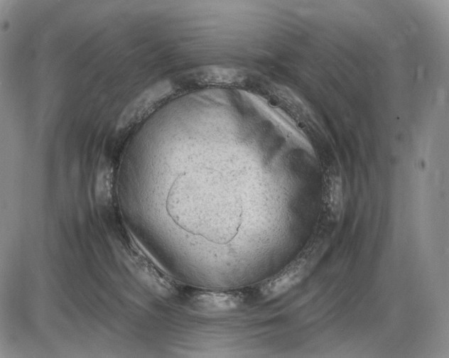 X0000085010326200703191122