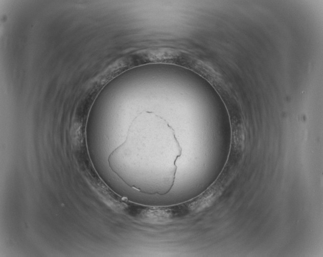 X0000085010327200703191122