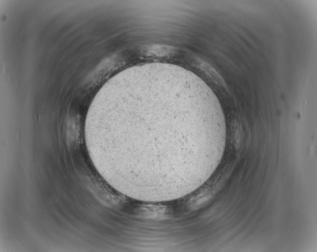 X0000085010328200703191122