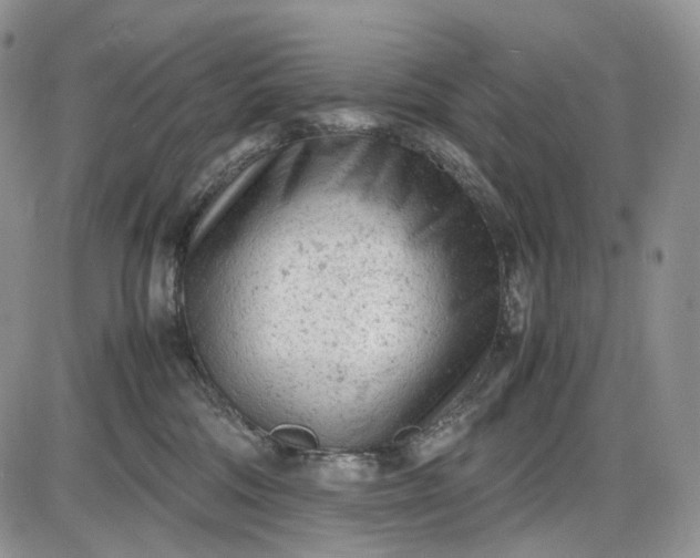 X0000085010330200703191122