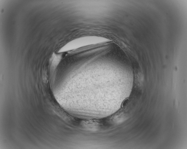 X0000085010331200703191122