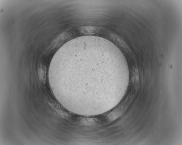 X0000085010332200703191122