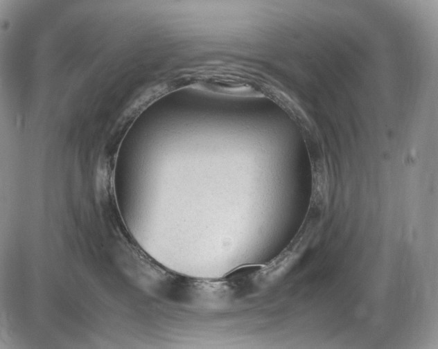 X0000085010333200703191122