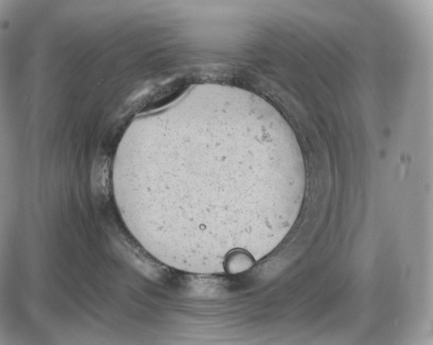 X0000085010336200703191122