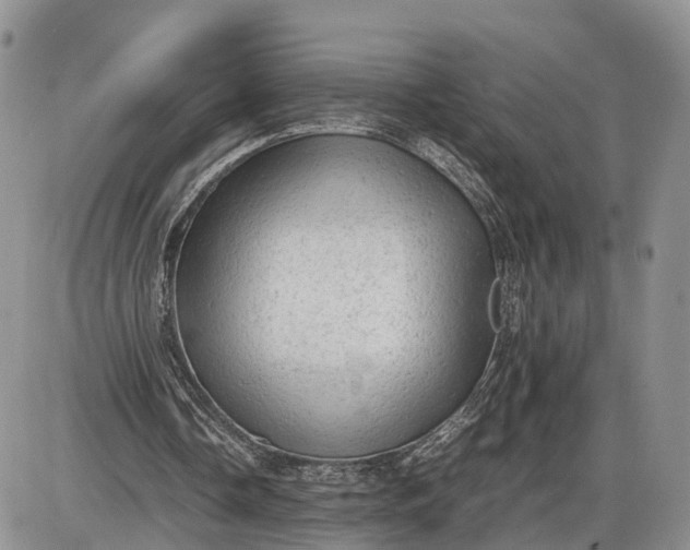 X0000085010338200703191121