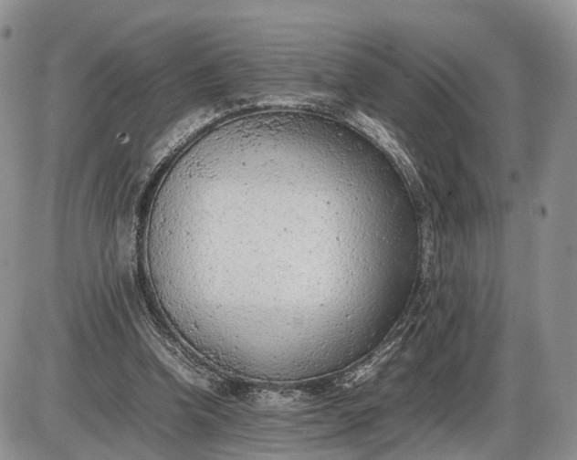 X0000085010346200703191121