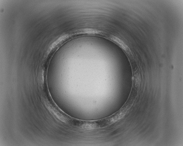 X0000085010350200703191121