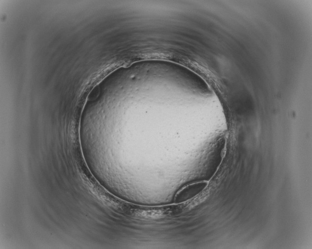 X0000085010353200703191121