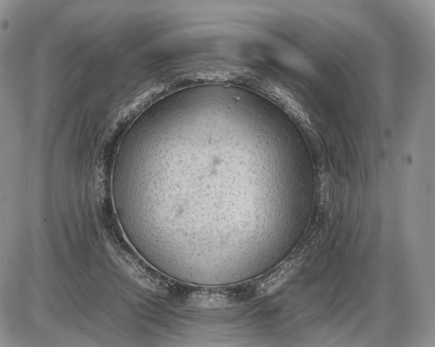 X0000085010354200703191121