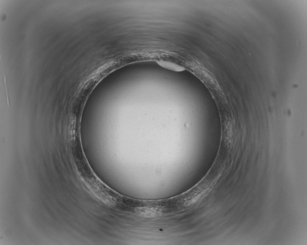 X0000085010356200703191121