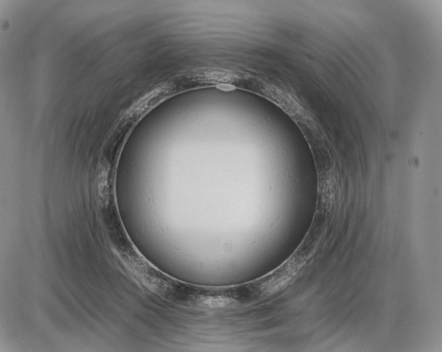 X0000085010360200703191121