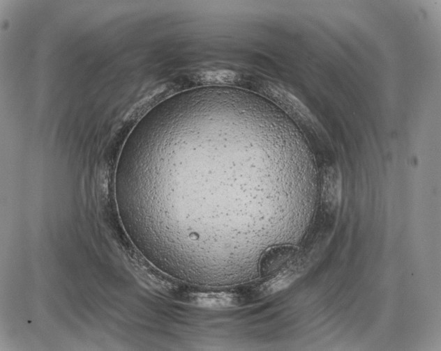 X0000085010363200703191121