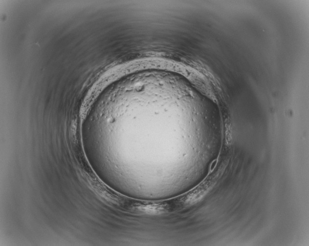 X0000085010365200703191121