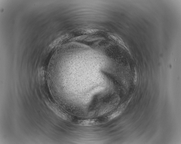 X0000085010366200703191121