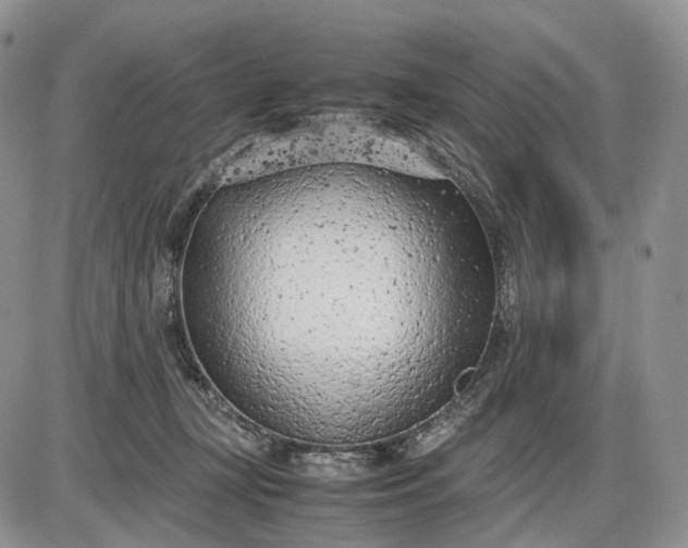 X0000085010367200703191121