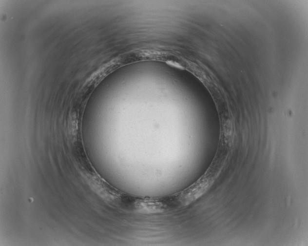 X0000085010372200703191122