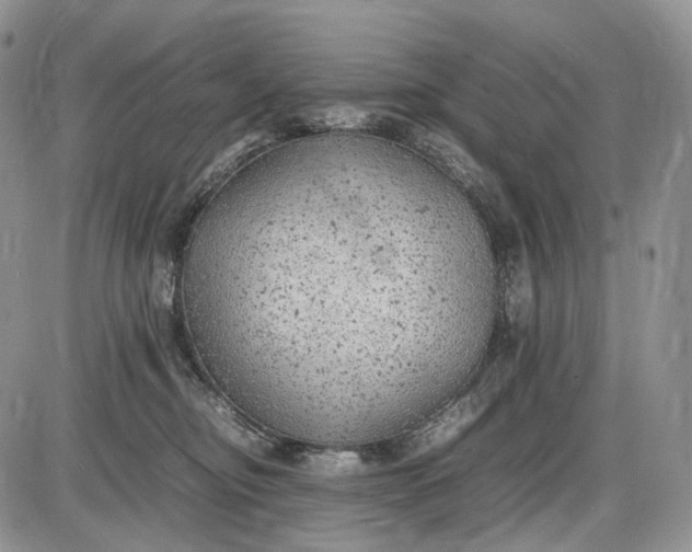 X0000085010374200703191122