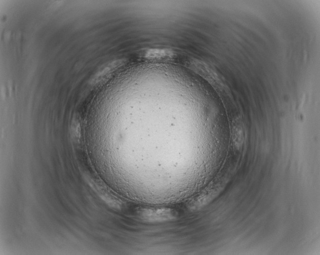 X0000085010375200703191122