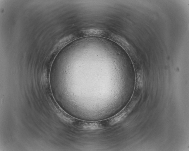 X0000085010377200703191122