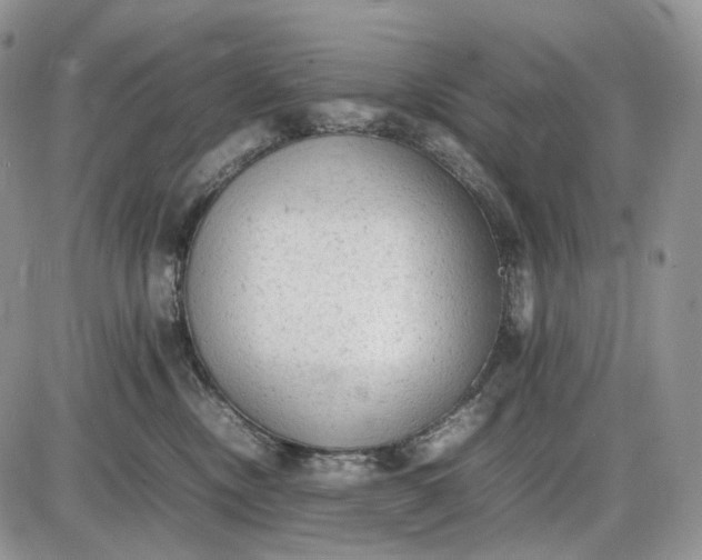 X0000085010378200703191122