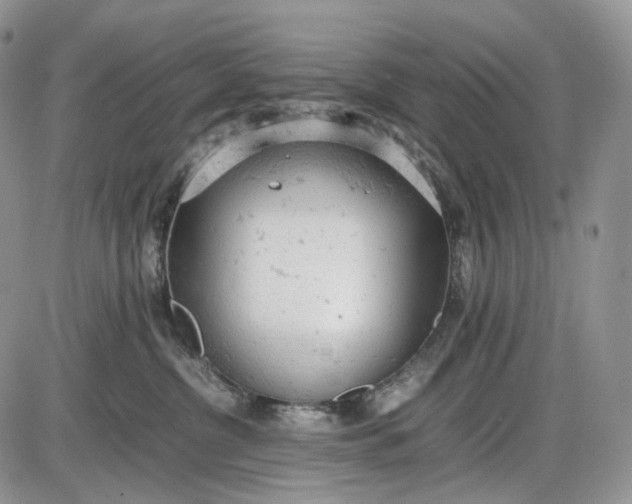 X0000085010380200703191122