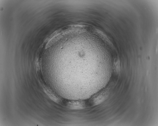 X0000085010381200703191122