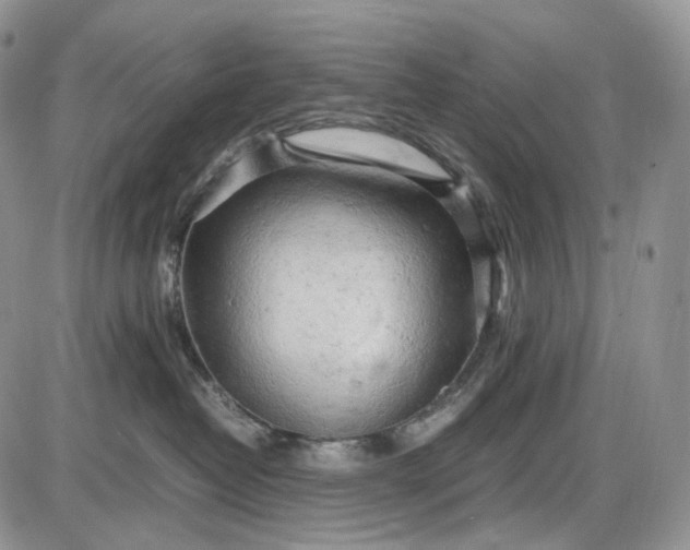 X0000085010382200703191122