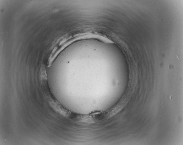 X0000085010384200703191122